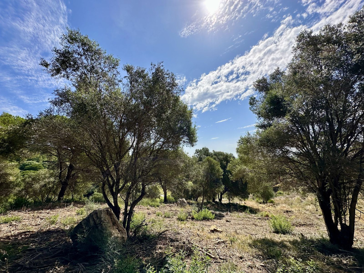 Terreno en venta en Sotogrande