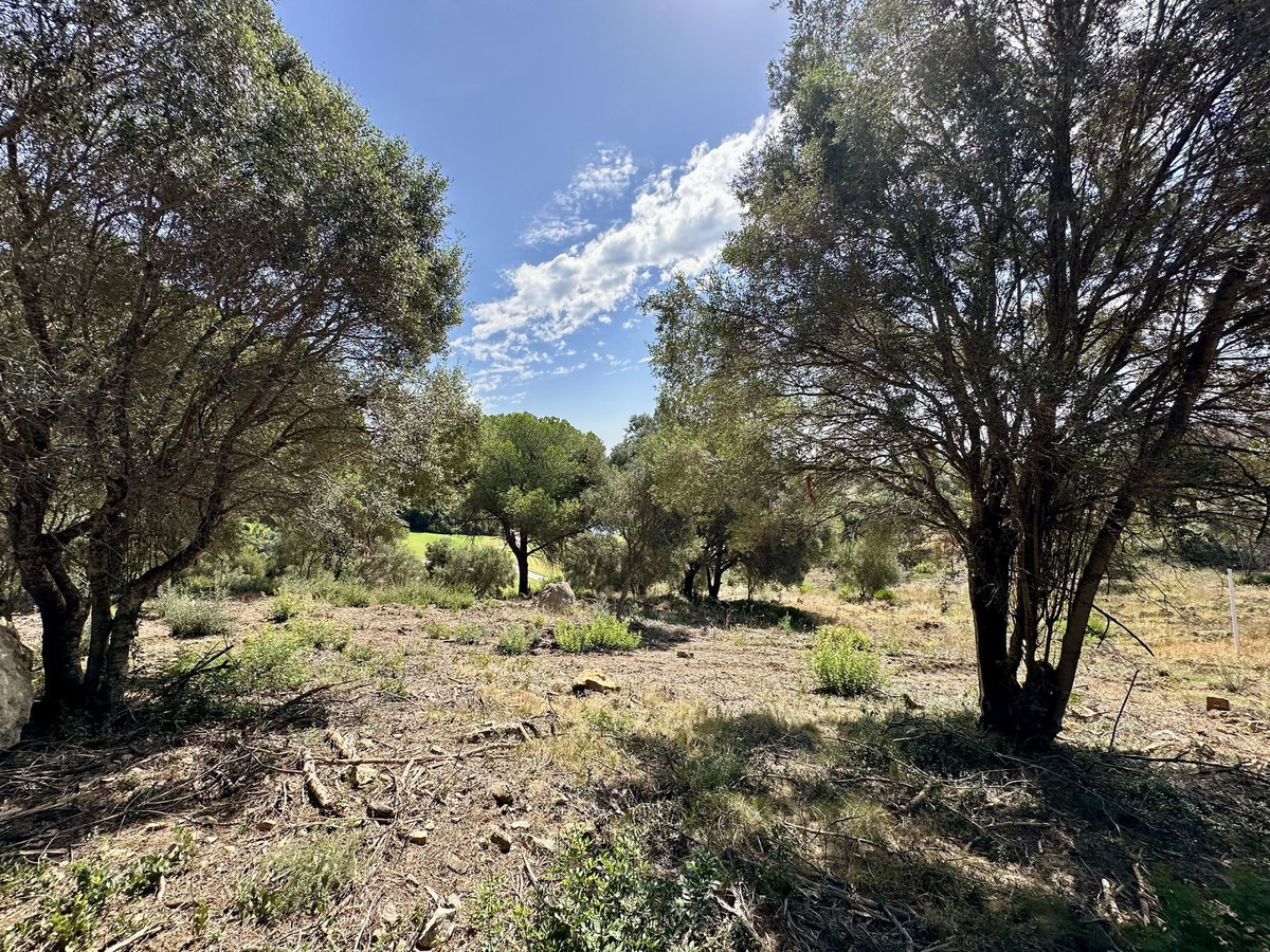 Terreno en venta en Sotogrande