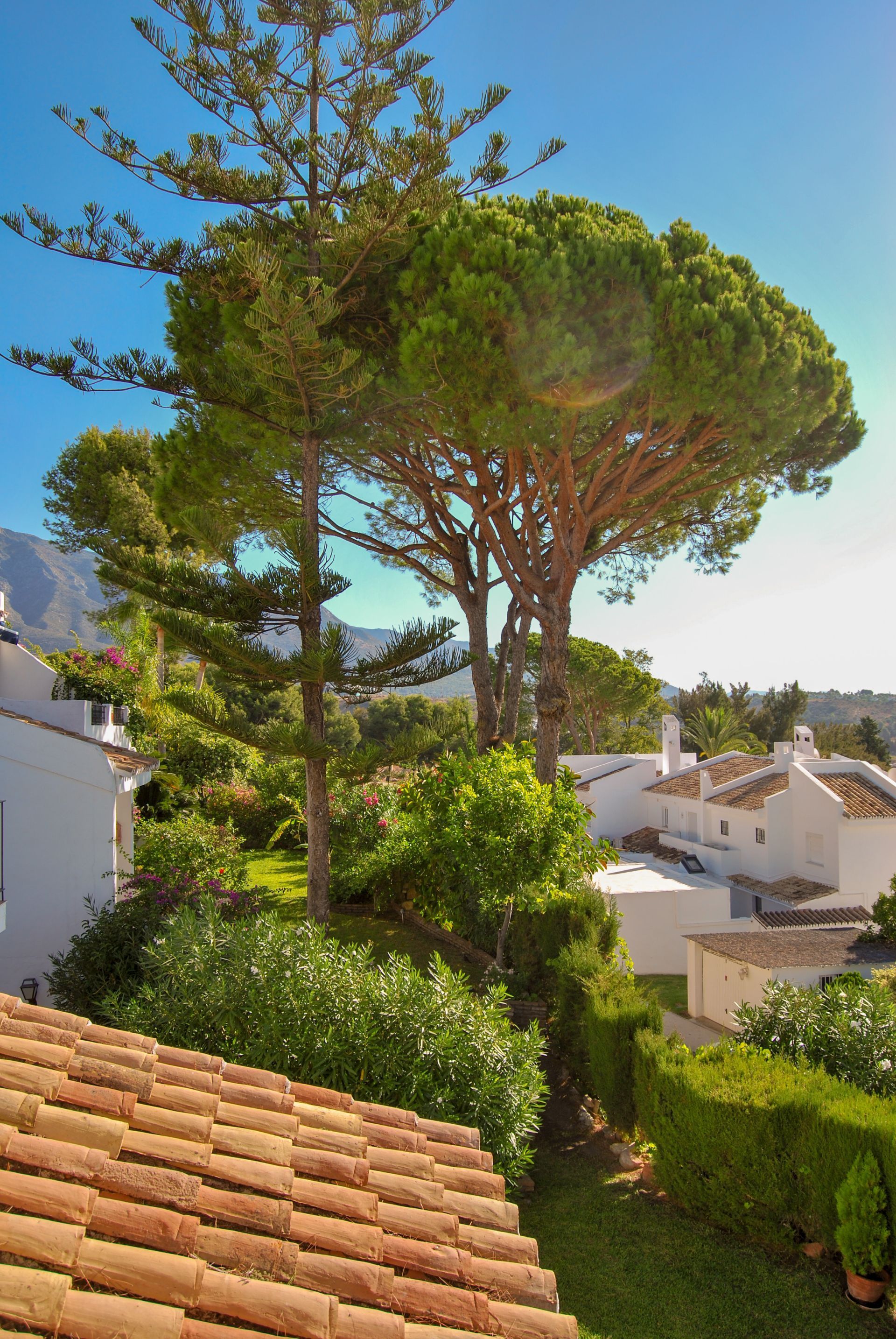 Nueva Andalucia, Marbella