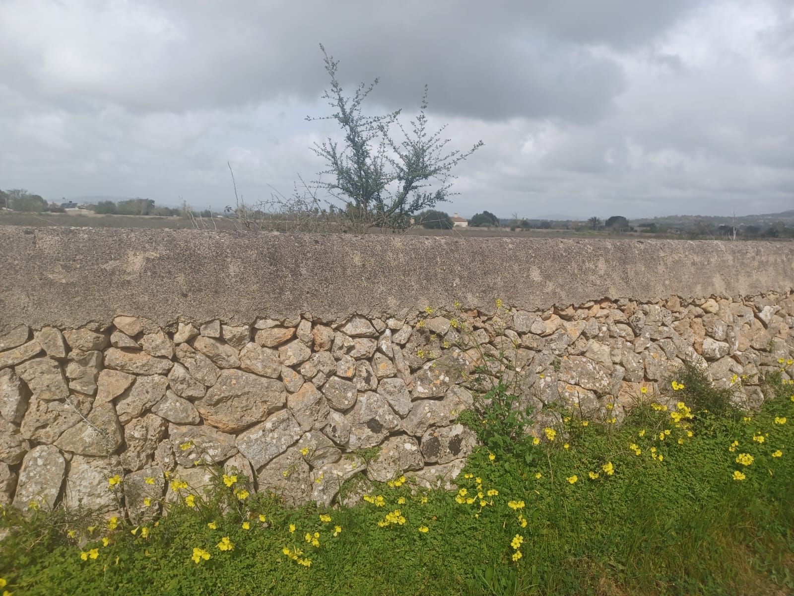 Terreno en venta en Felanitx
