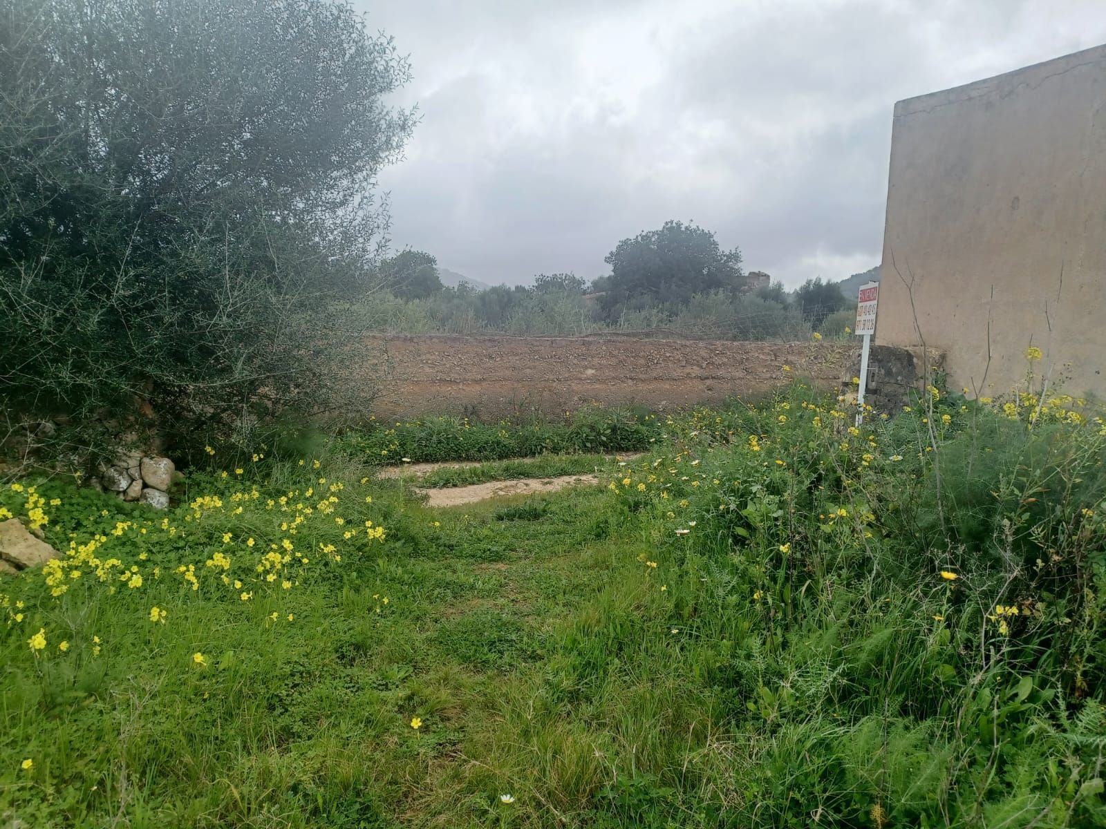 Terreno en venta en Felanitx