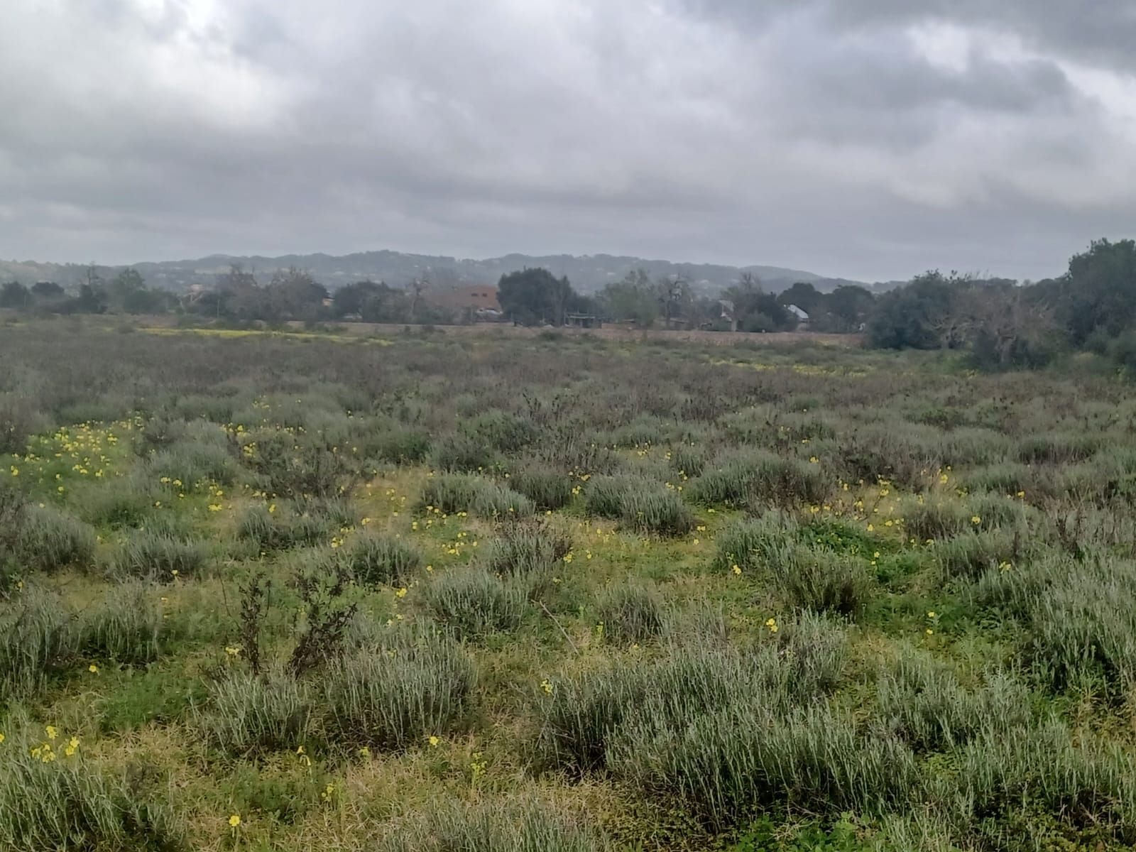 Terreno en venta en Felanitx