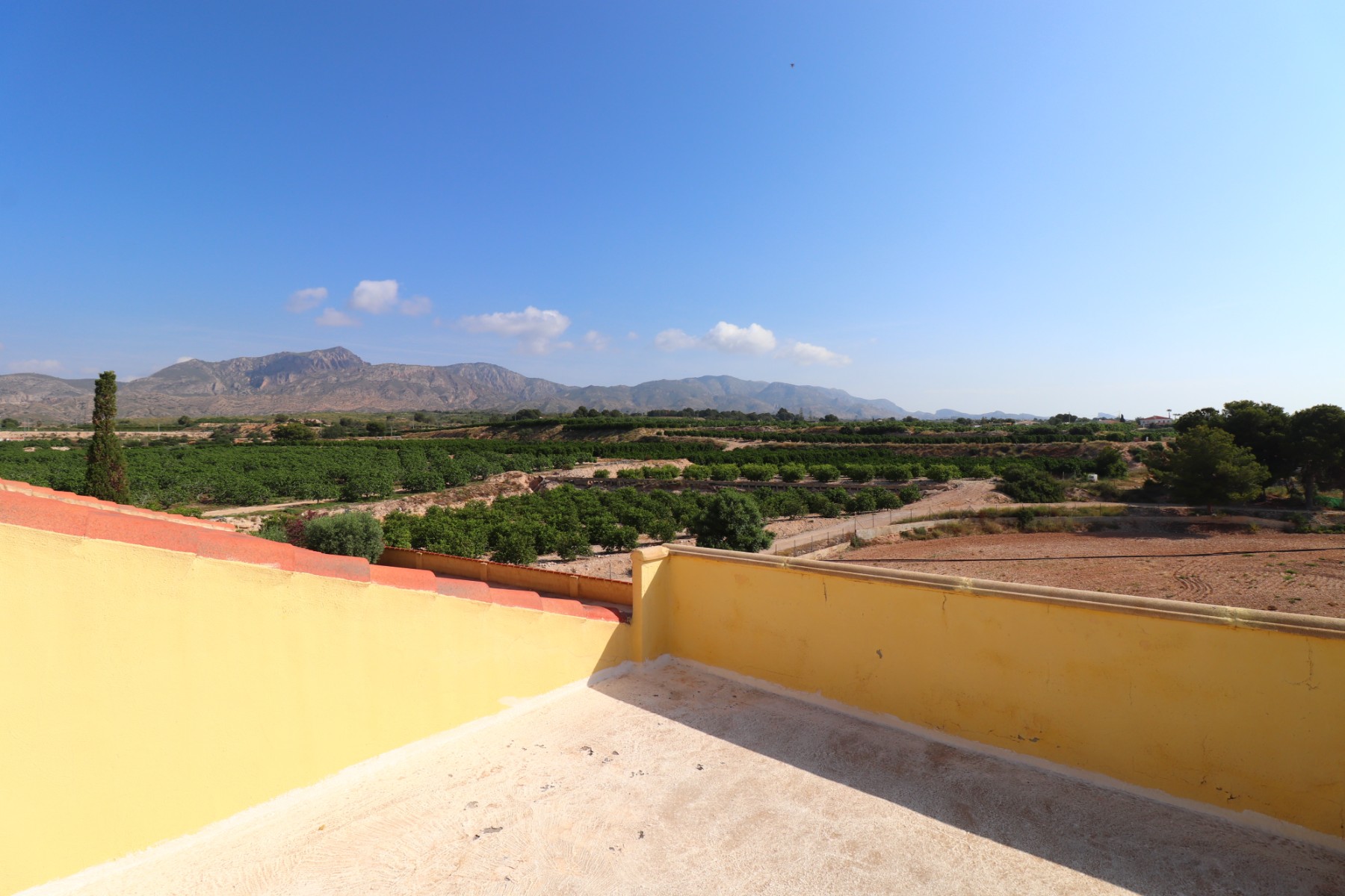 Finca de 3 Dormitorios en venta en Albatera