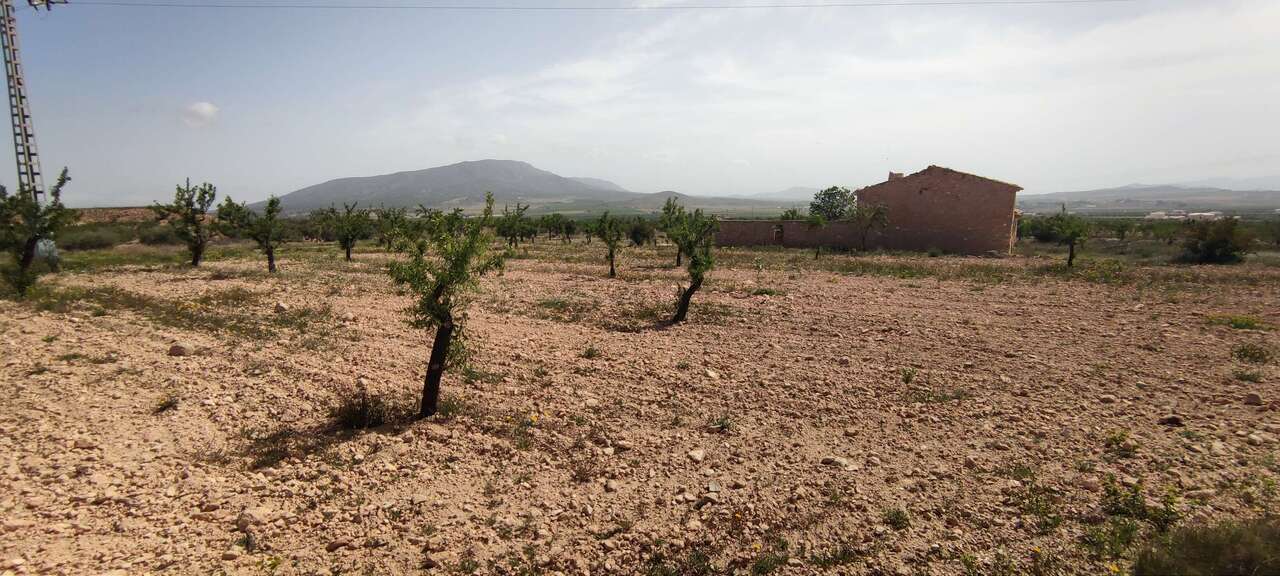 Finca en venta en El Pinós