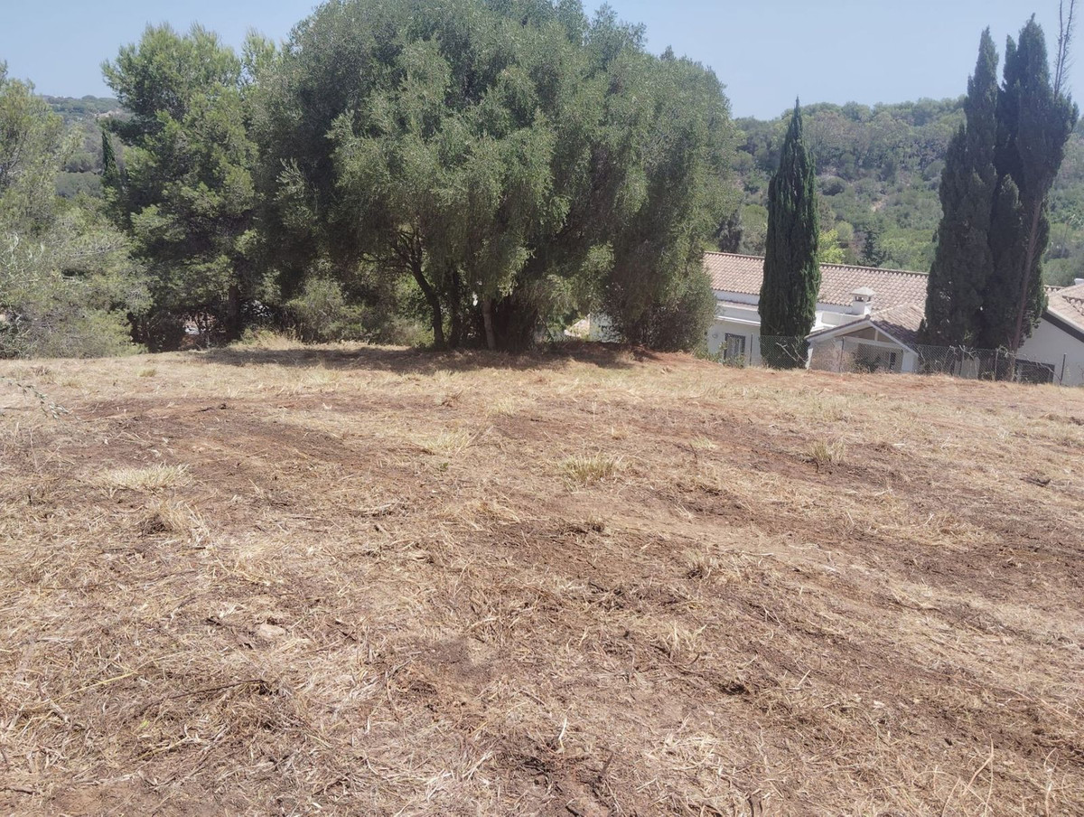 Terreno en venta en Sotogrande Alto
