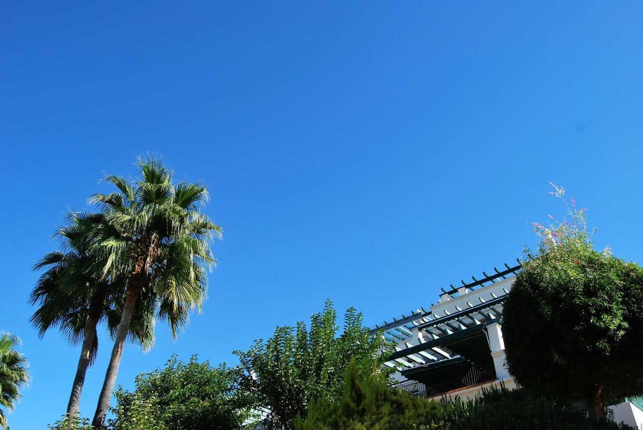 Piso de 3 Dormitorios y 2 Baños en venta en Nueva Andalucía, Marbella