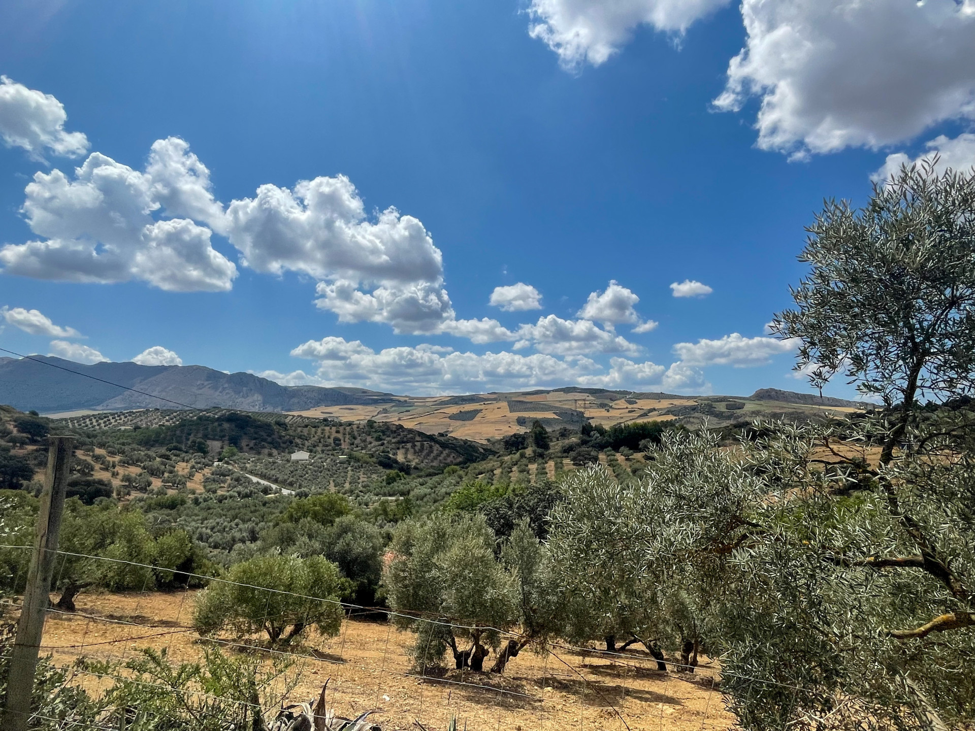 Finca de 6 Dormitorios y 3 Baños en venta en Antequera