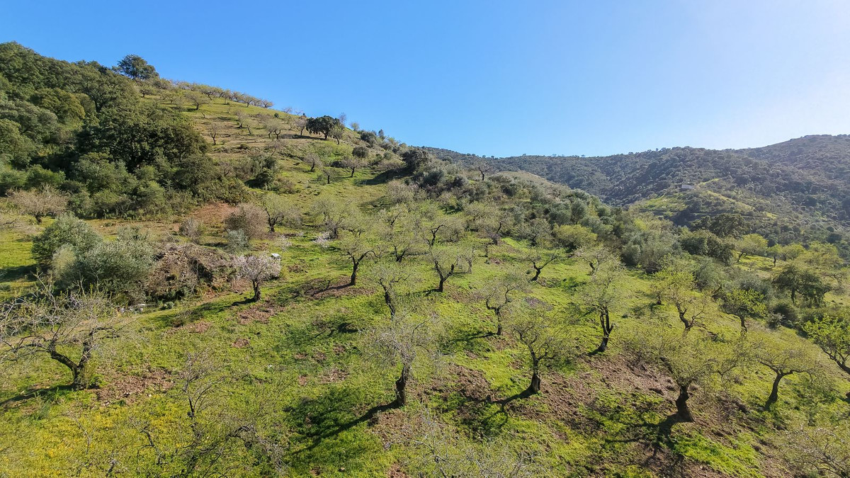 Plot for Sale in Malaga