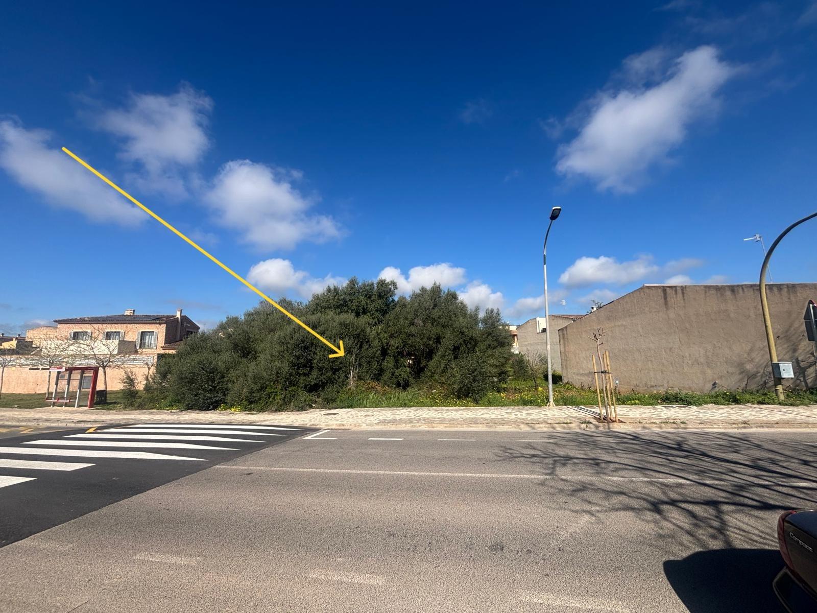 Terreno en venta en San Lorenzo de Cardessar