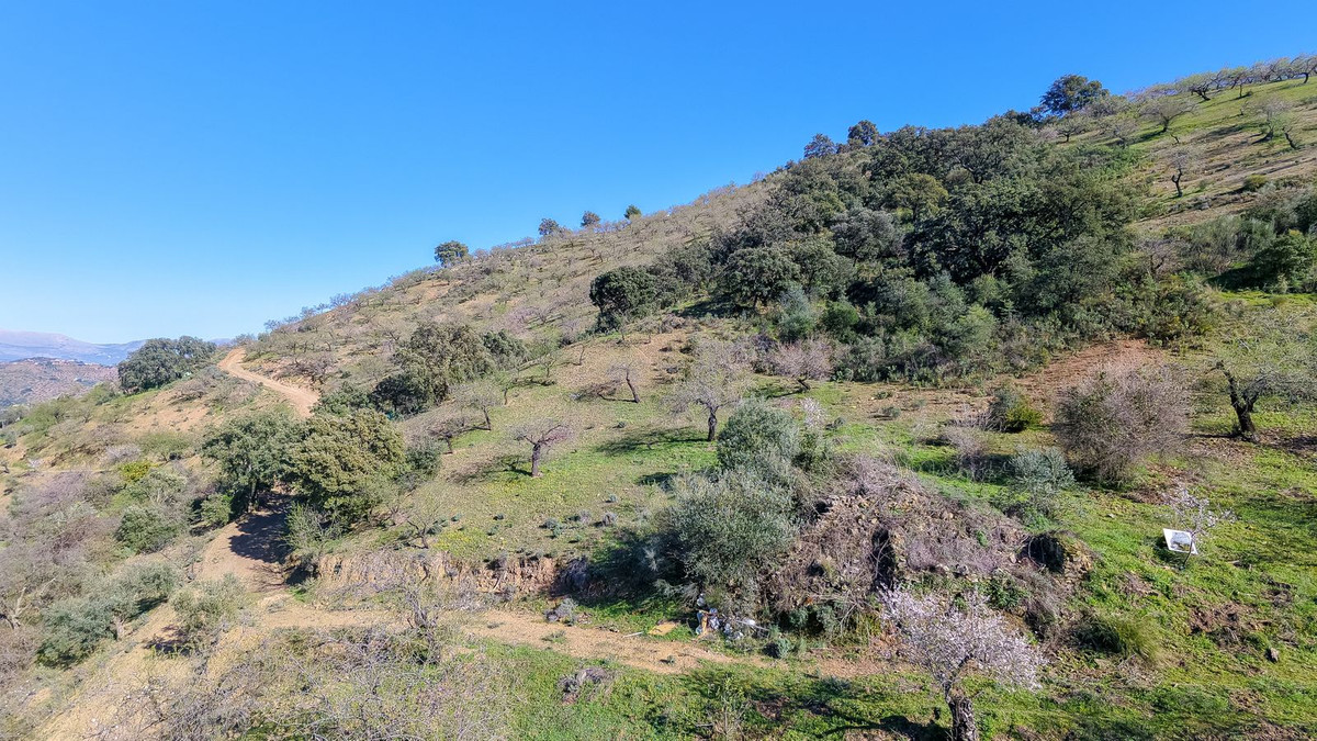 Plot for Sale in Malaga