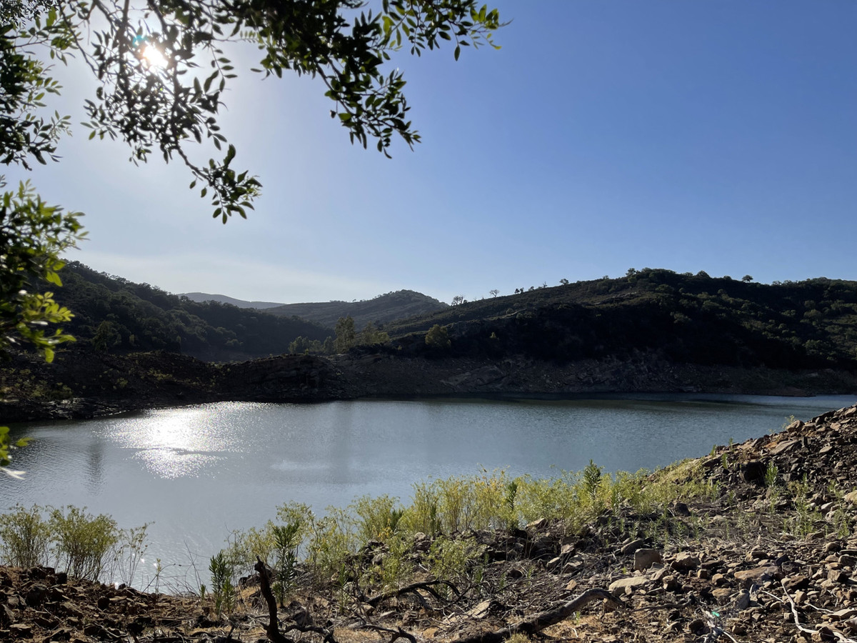 Finca de 2 Dormitorios y 2 Baños en venta en Castellar de la Frontera