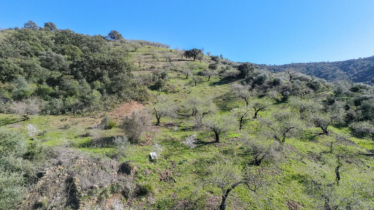 Plot for Sale in Malaga