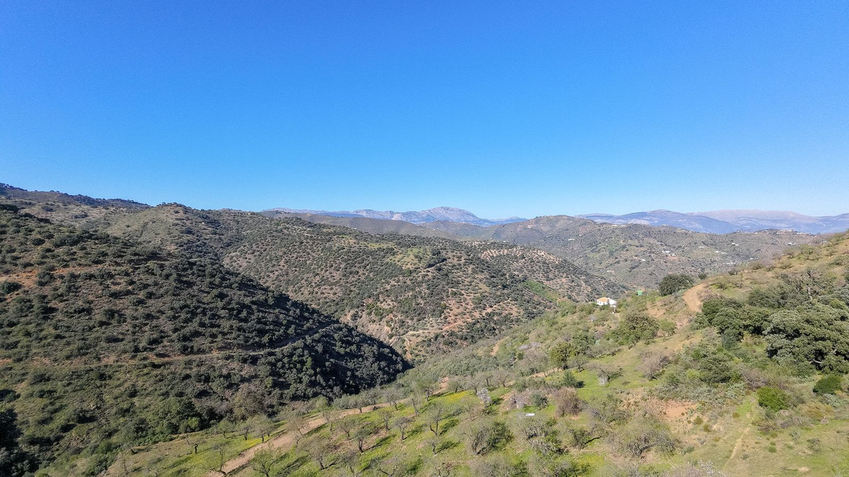Plot for Sale in Malaga