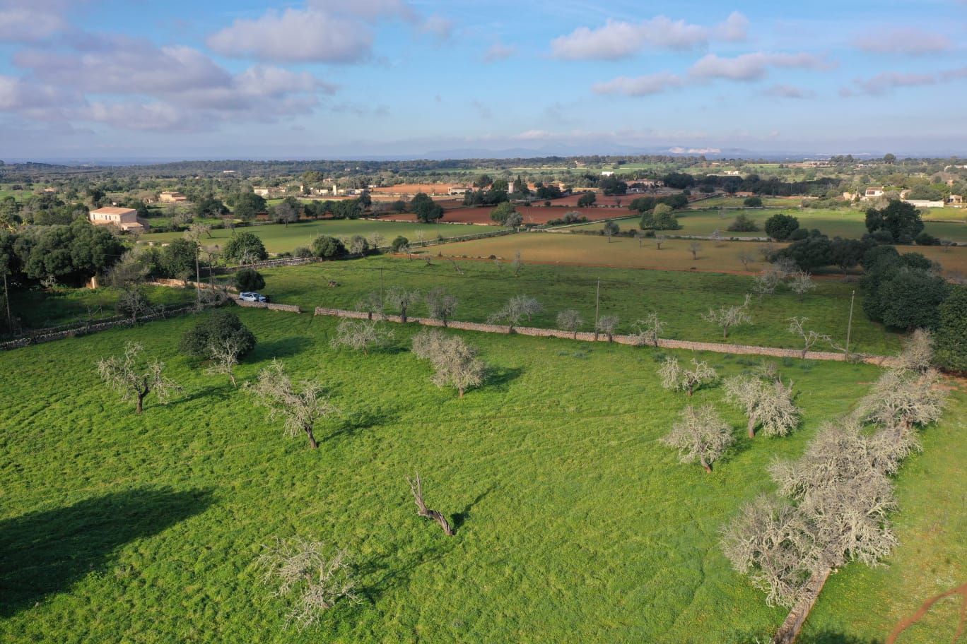 Finca de 4 Dormitorios y 5 Baños en venta en Felanitx