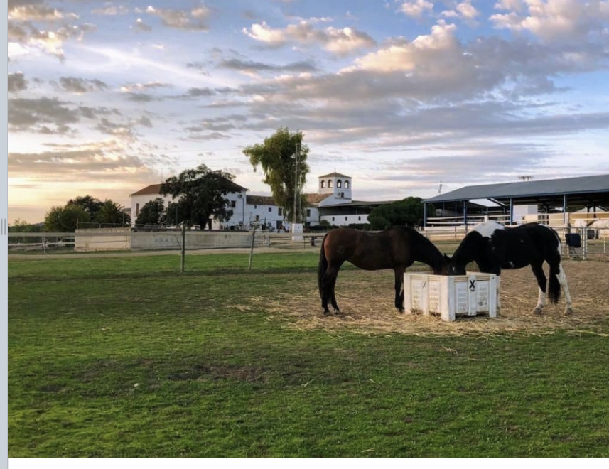 Finca de 20 Dormitorios y 15 Baños en venta en Mollina
