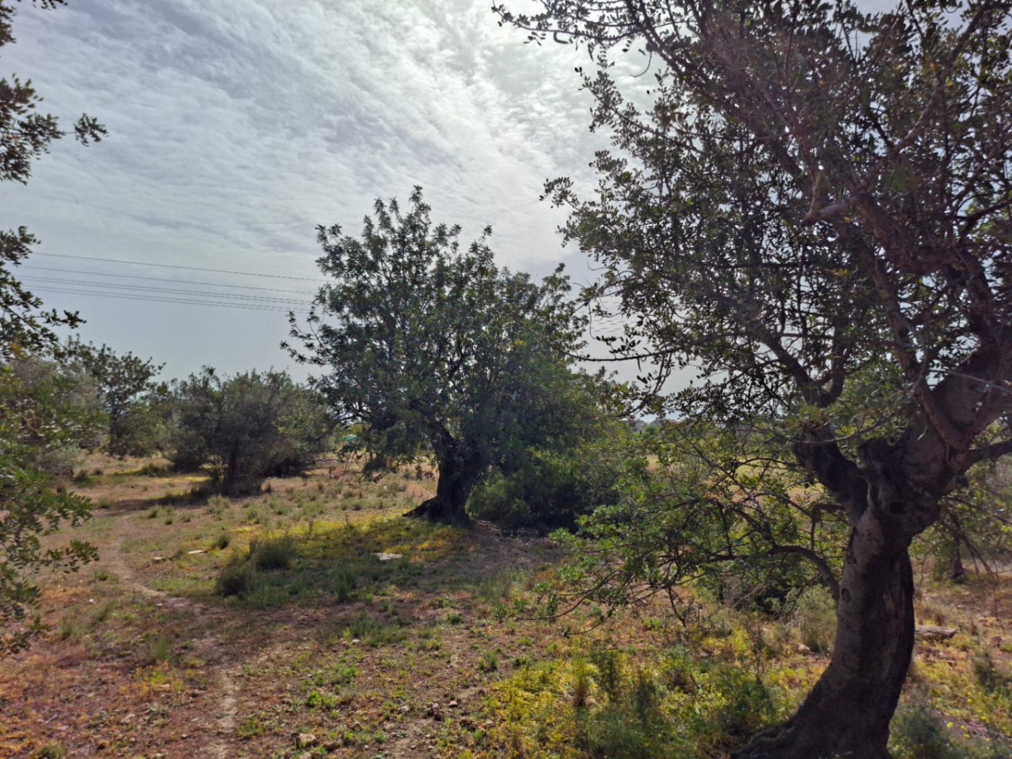 Terreno en venta en Altea