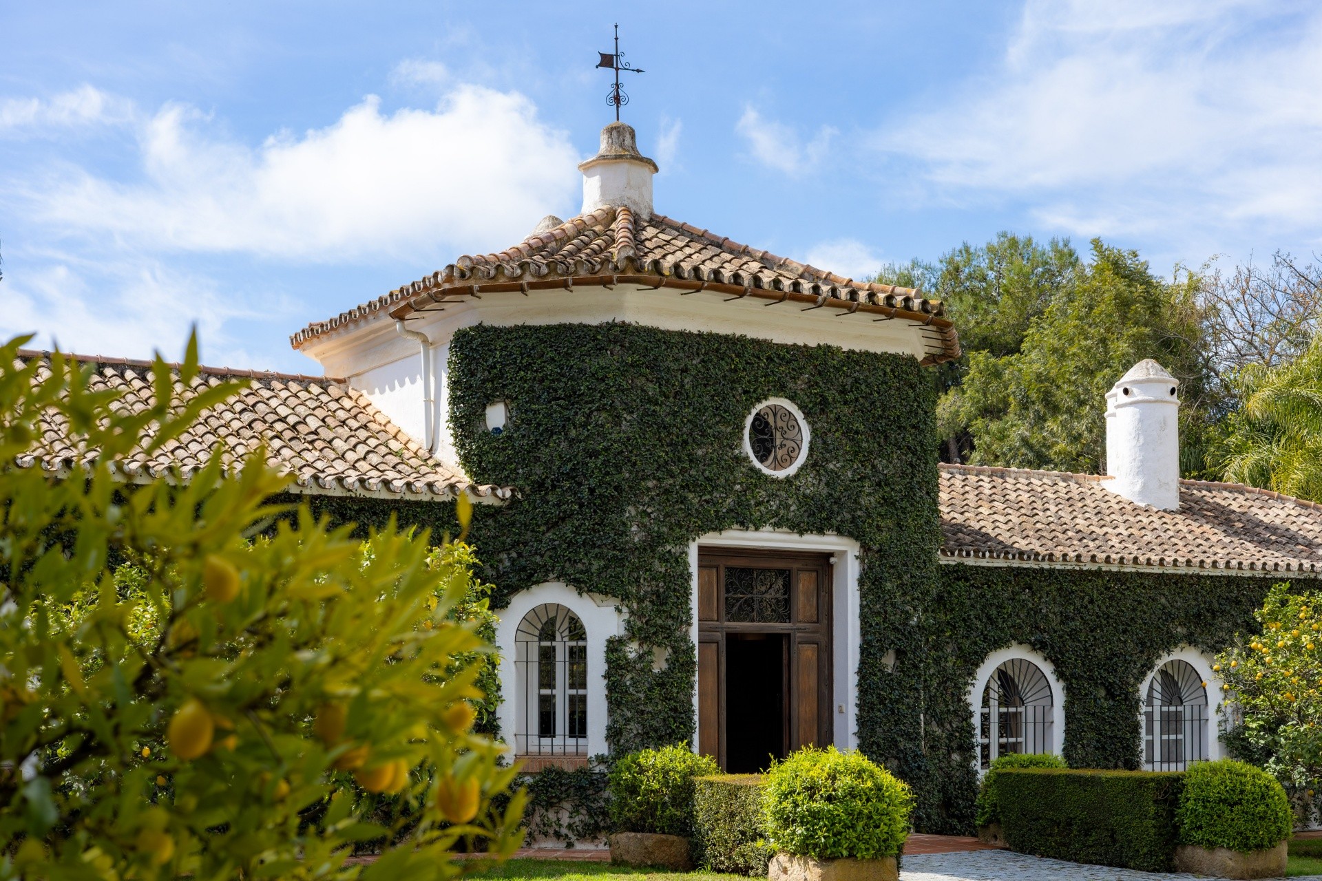 Nagueles, Marbella