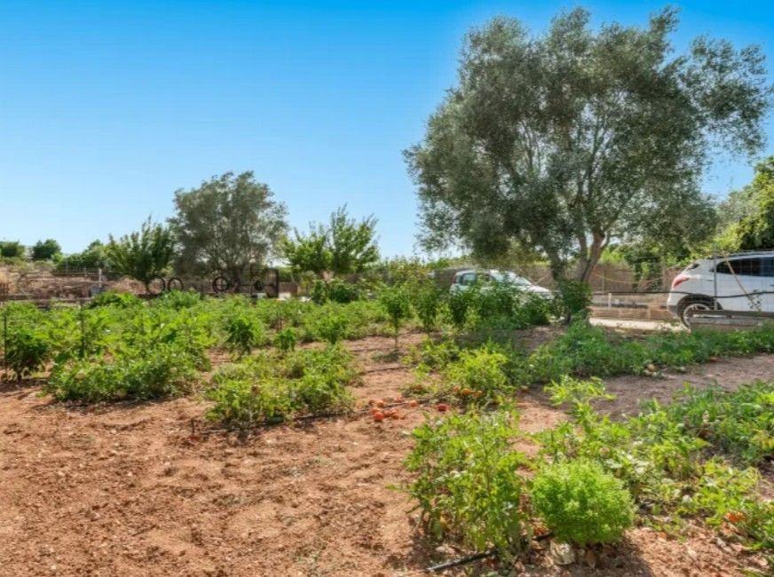 Finca de 3 Dormitorios en venta en Manacor