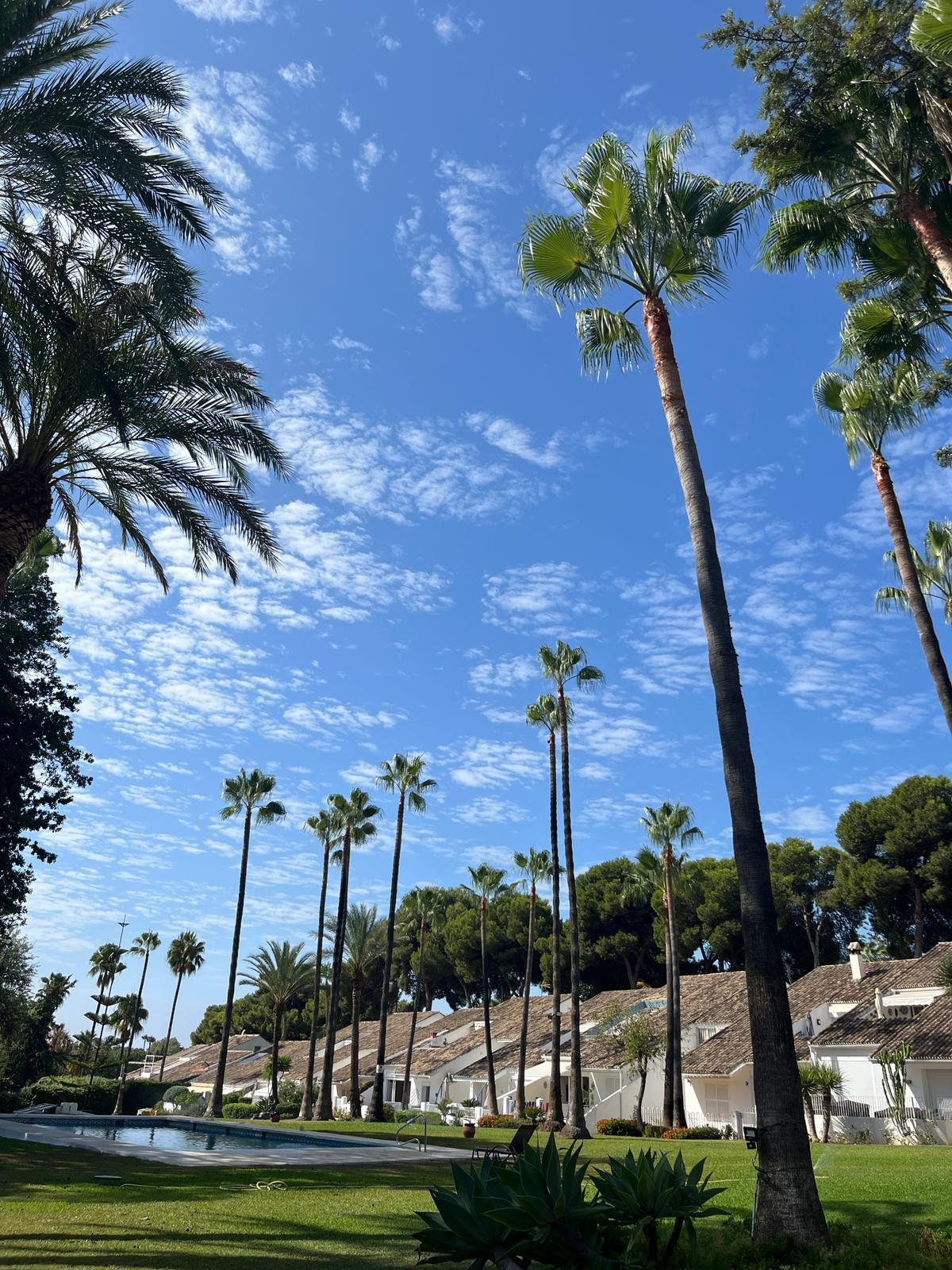 Piso de 2 Dormitorios en venta en Nueva Andalucía, Marbella