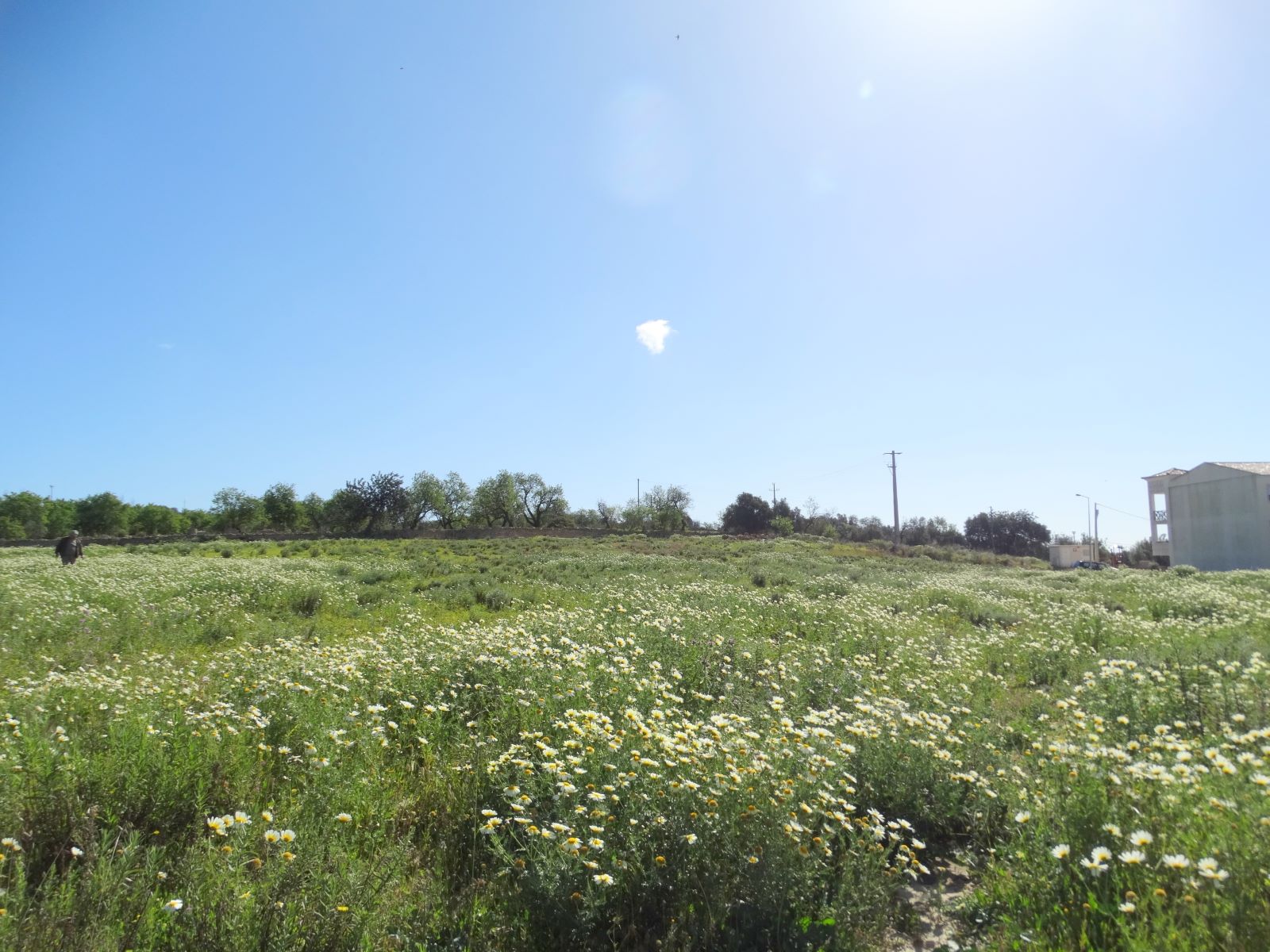 Terreno en venta en Faro