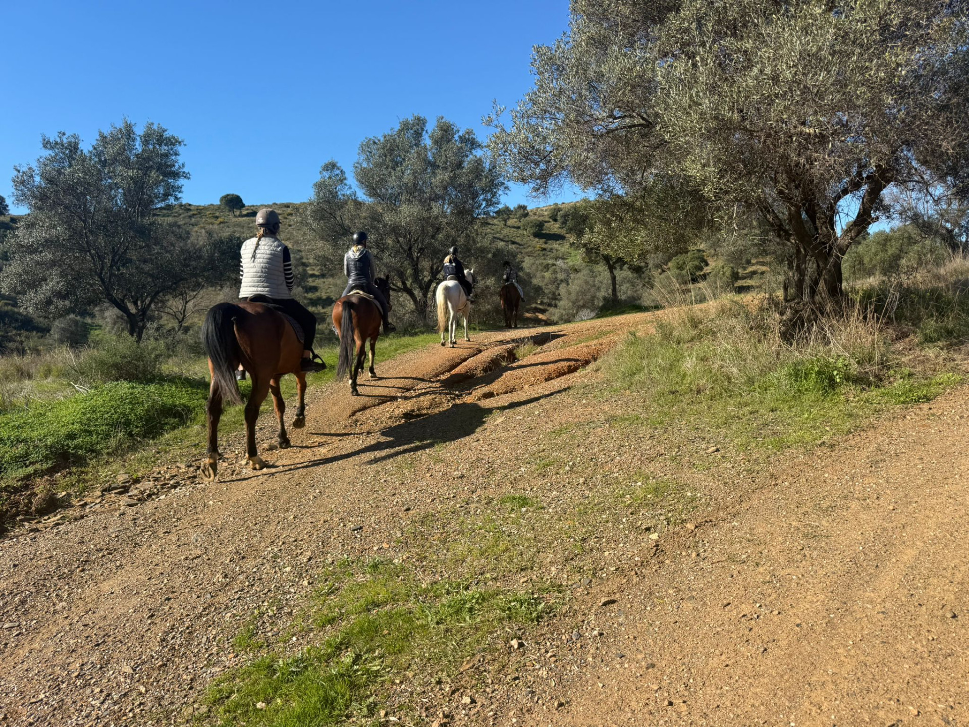 Terreno en venta en La Cala de Mijas
