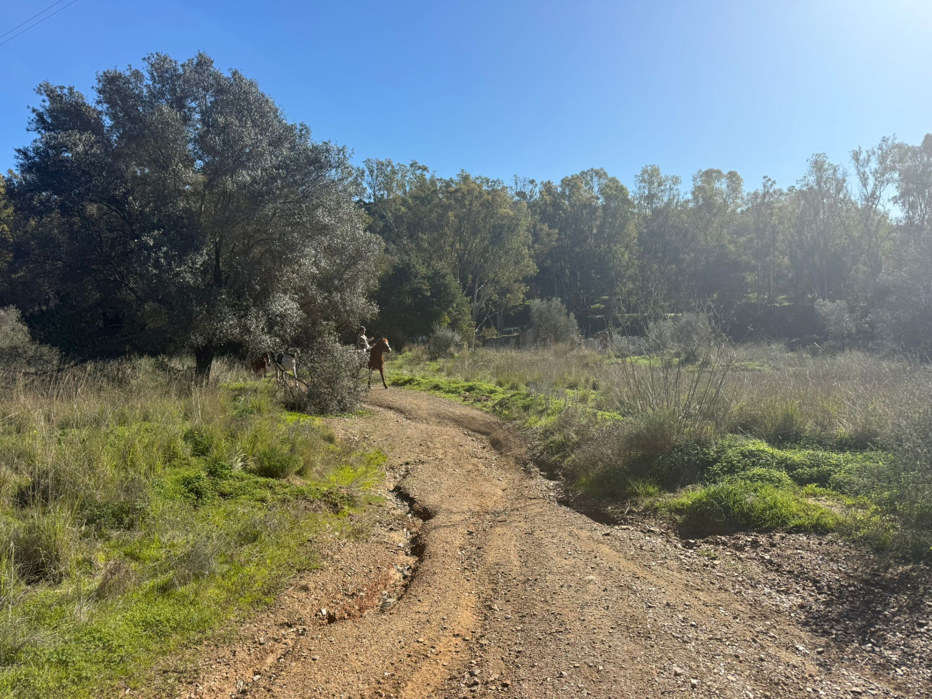 Terreno en venta en La Cala de Mijas