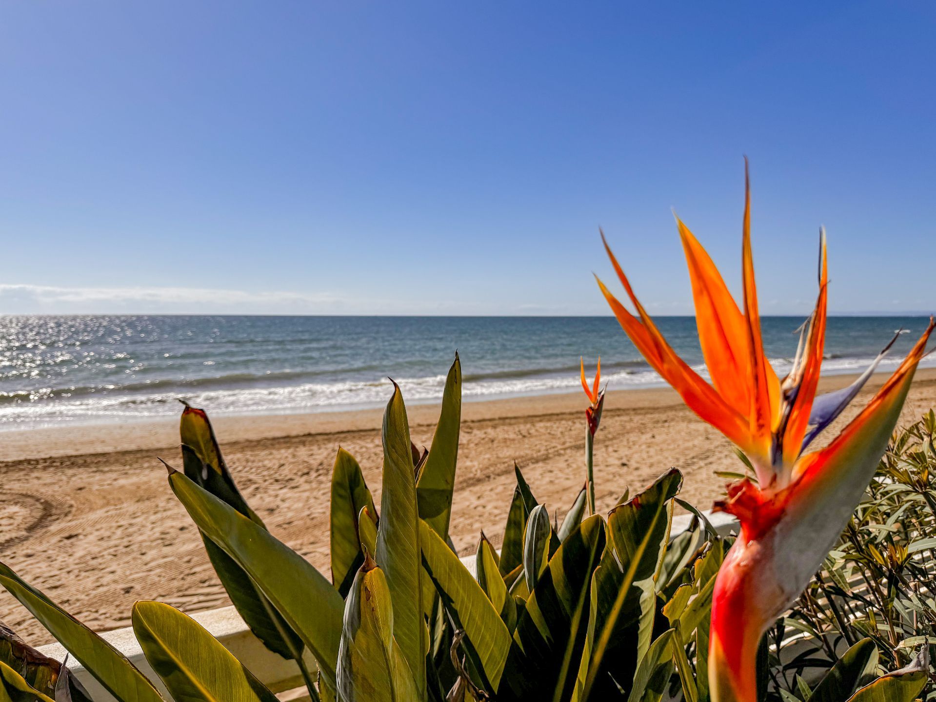 Casa de 2 Dormitorios en venta en El Rosario, Marbella