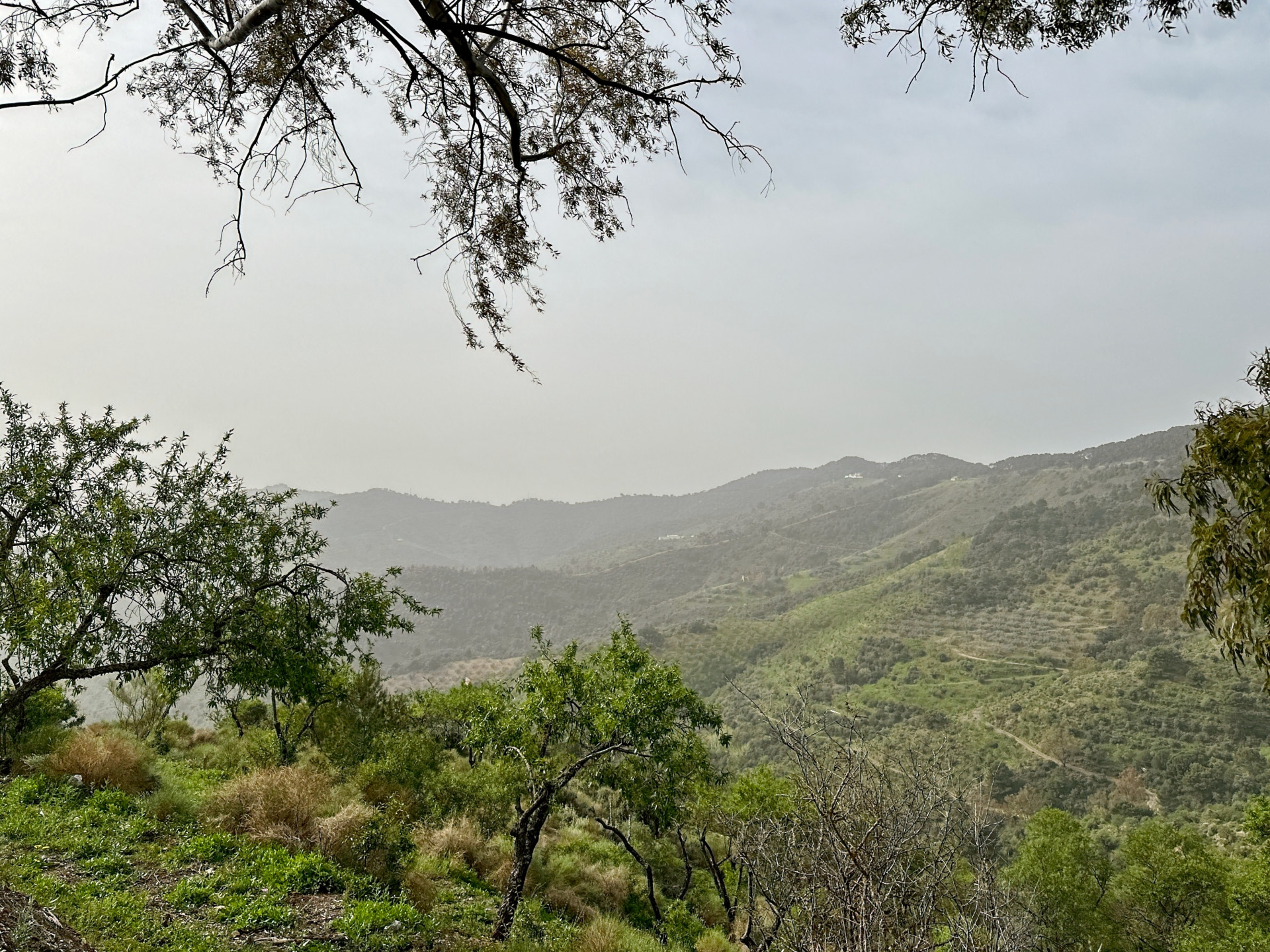 Finca de 8 Dormitorios y 3 Baños en venta en Málaga Este