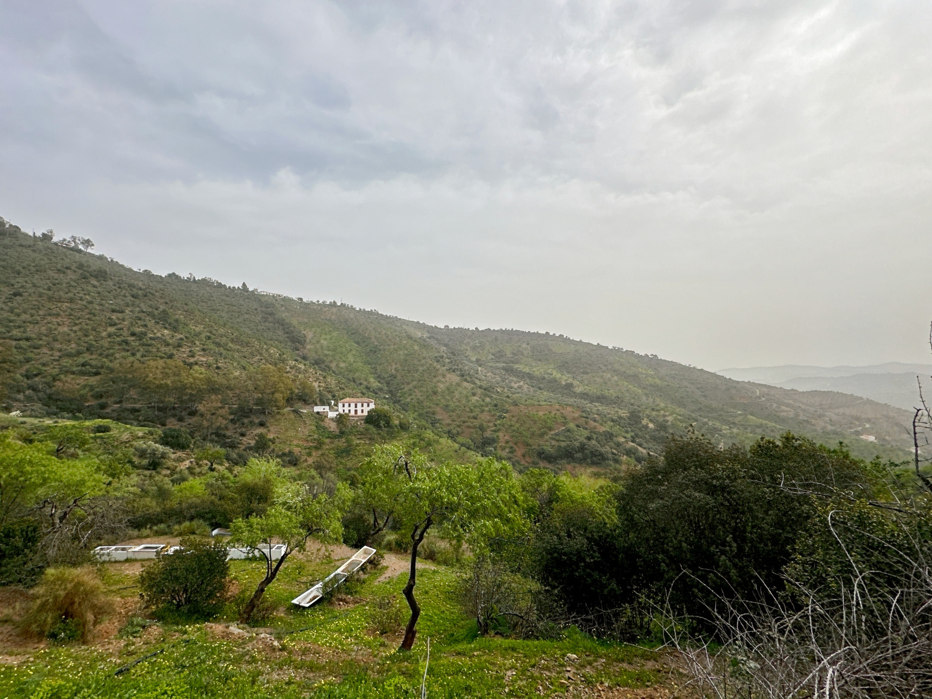 Finca de 8 Dormitorios y 3 Baños en venta en Málaga Este