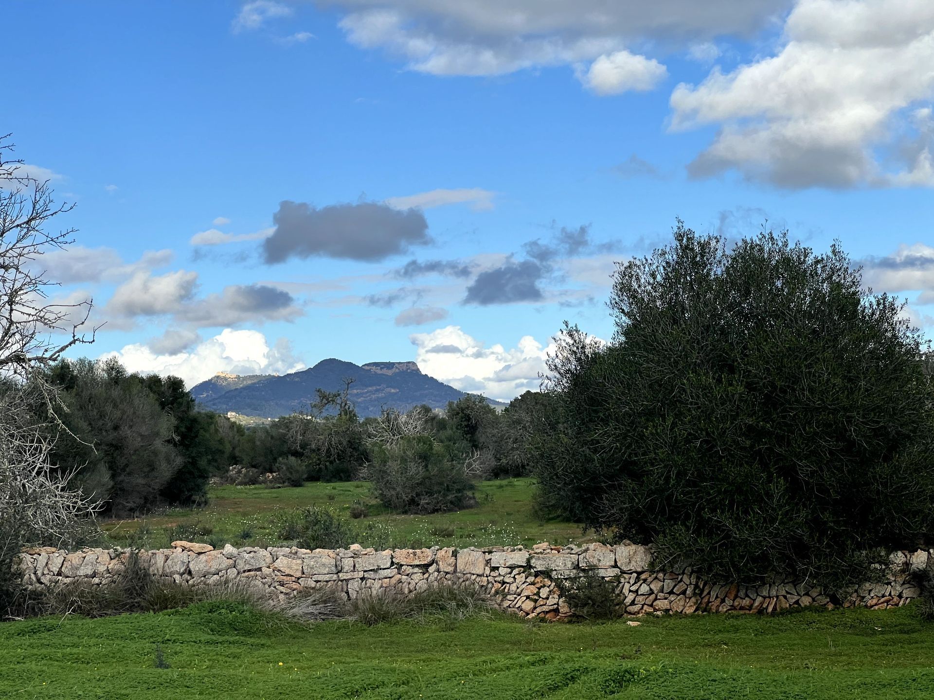 Terreno en venta en Santanyí