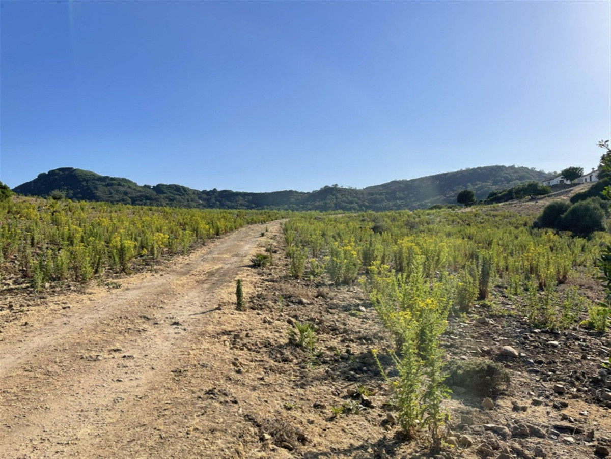Finca de 3 Dormitorios y 2 Baños en venta en Castellar de la Frontera