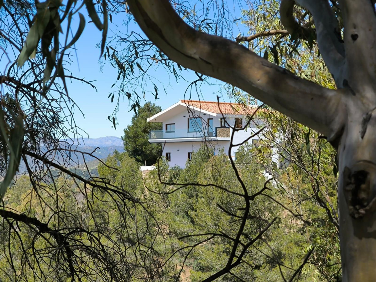 Ciudad Jardin, Malaga