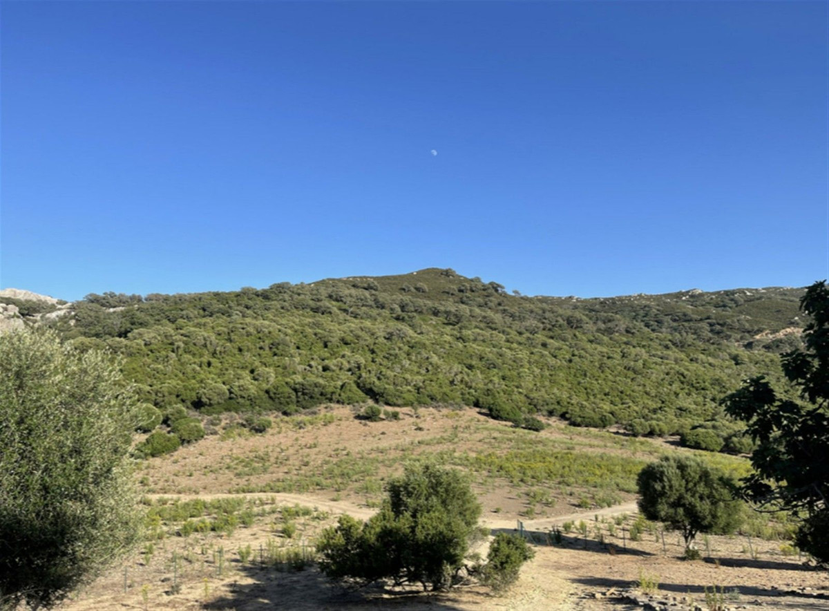 Finca de 3 Dormitorios y 2 Baños en venta en Castellar de la Frontera