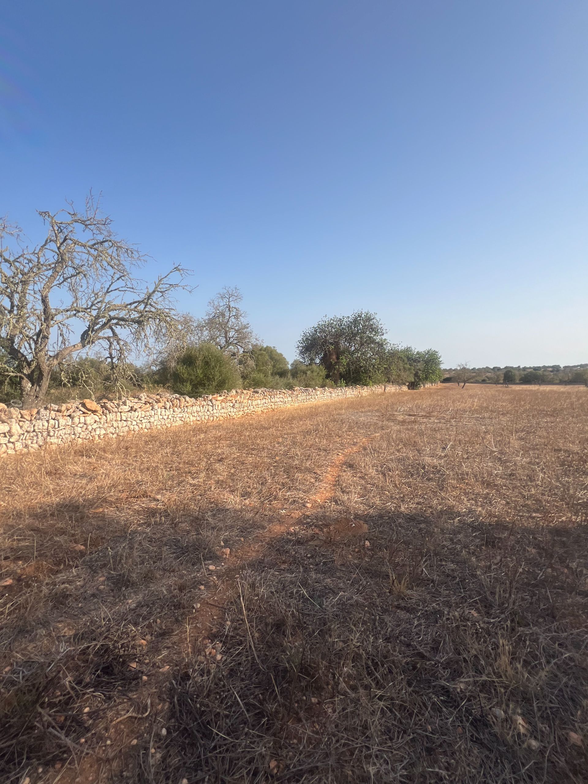 Terreno en venta en Santanyí