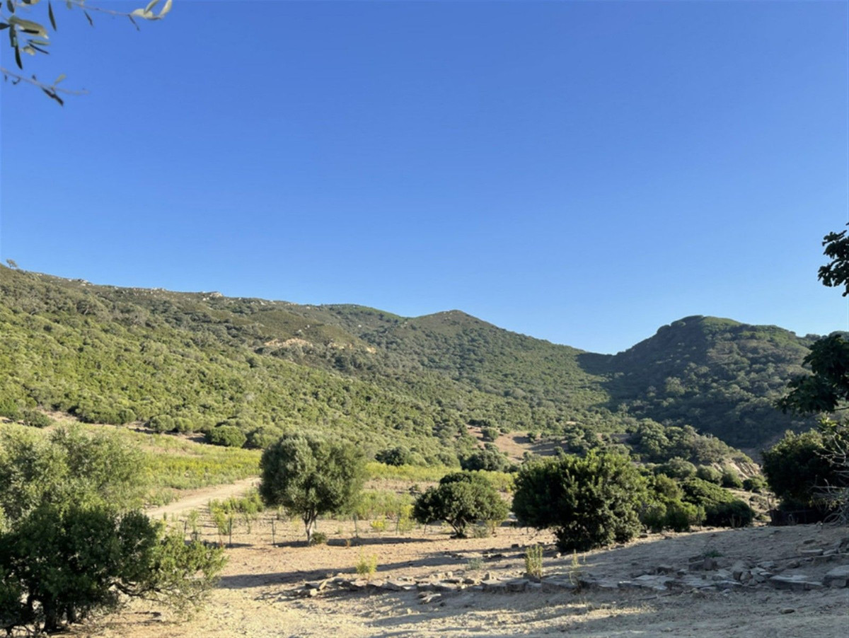 Finca de 3 Dormitorios y 2 Baños en venta en Castellar de la Frontera