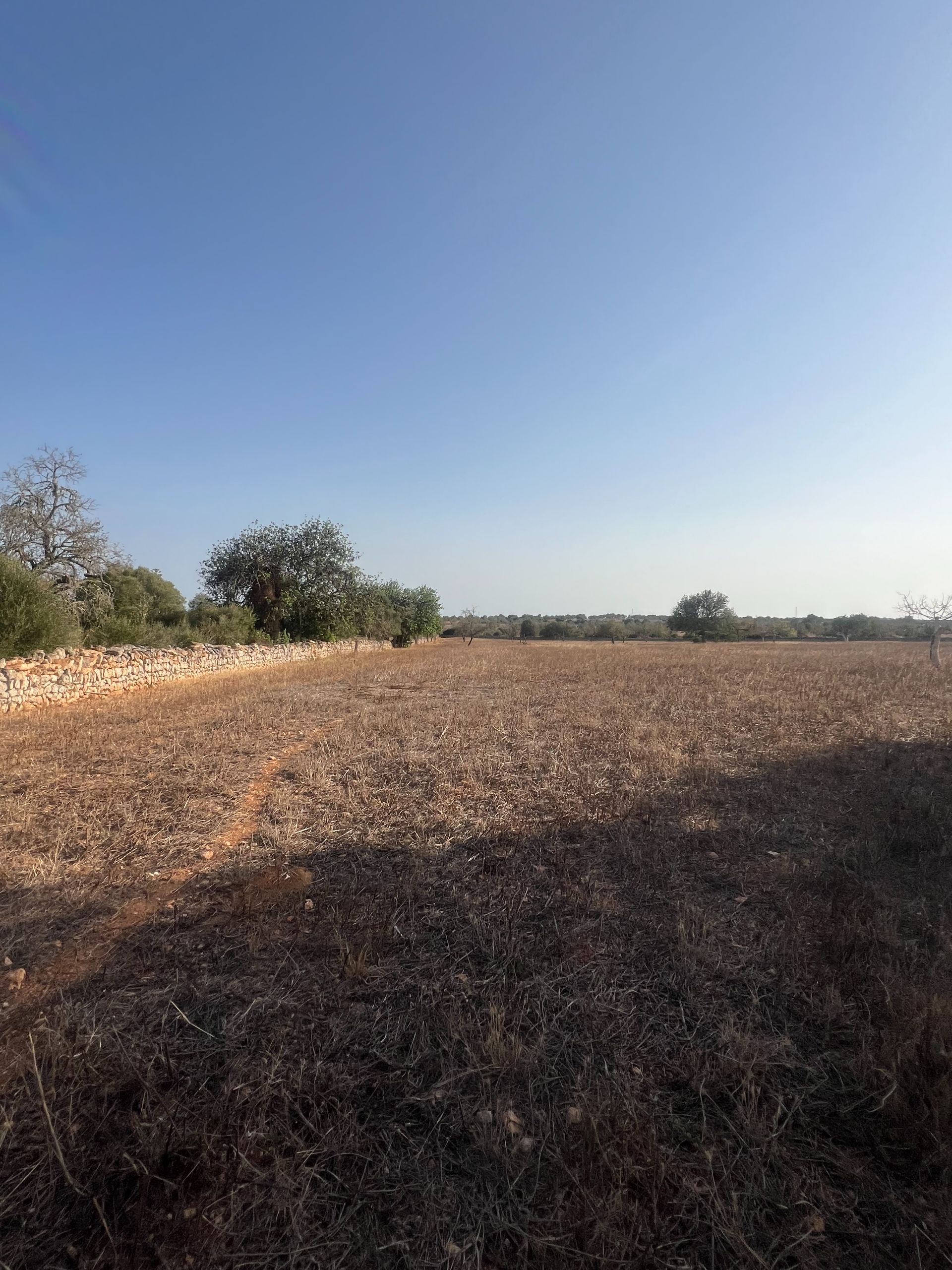Terreno en venta en Santanyí