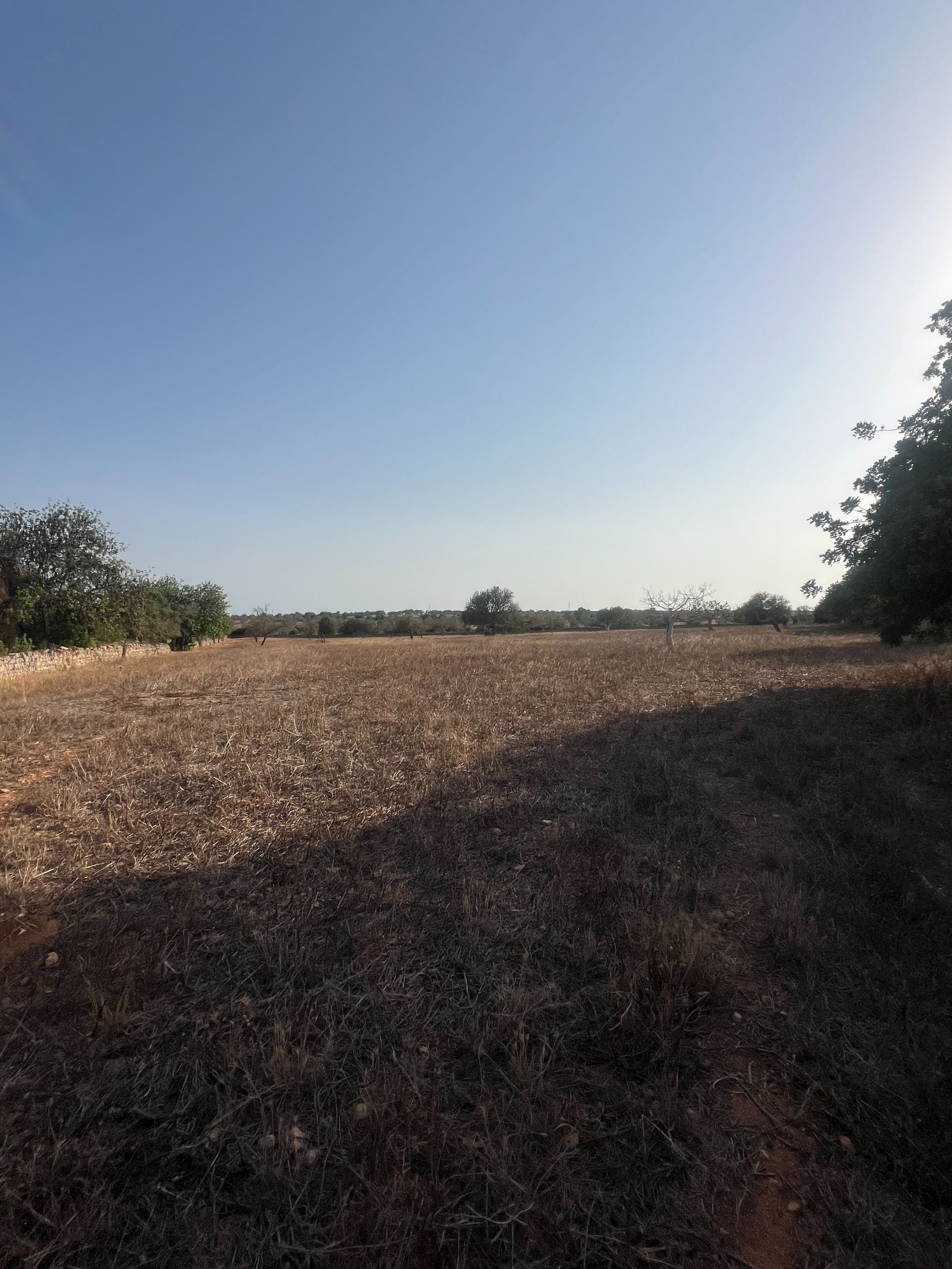 Terreno en venta en Santanyí