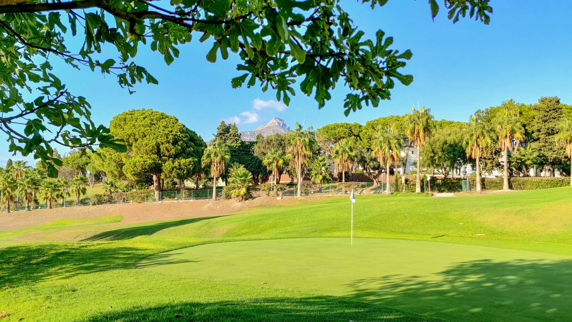 Nueva Andalucia, Marbella