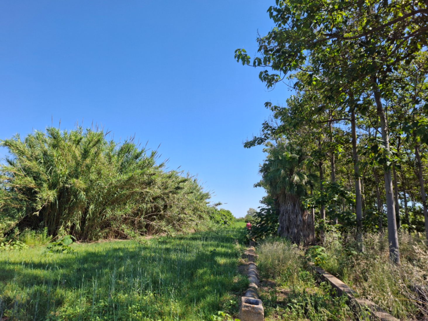 Terreno en venta en Pego