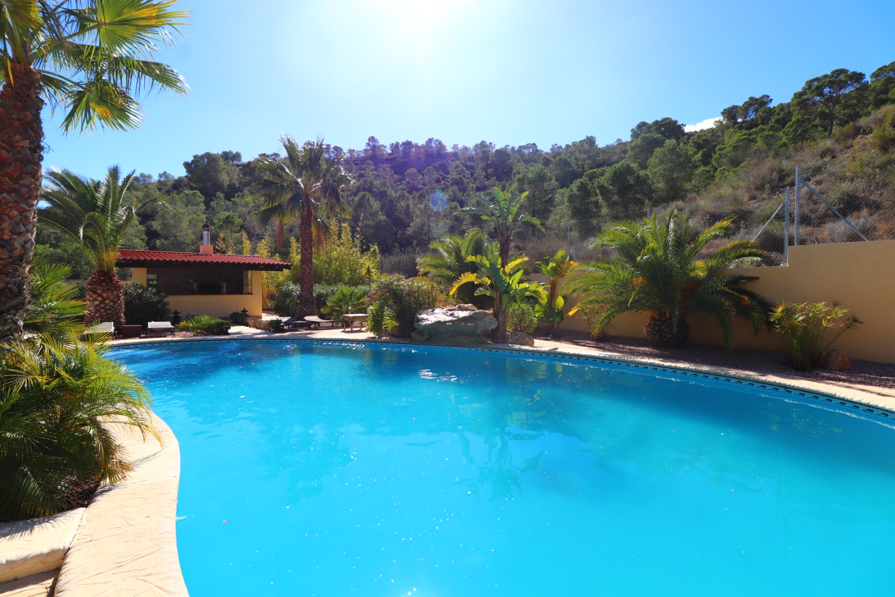 Finca de 5 Dormitorios y 4 Baños en venta en Aspe