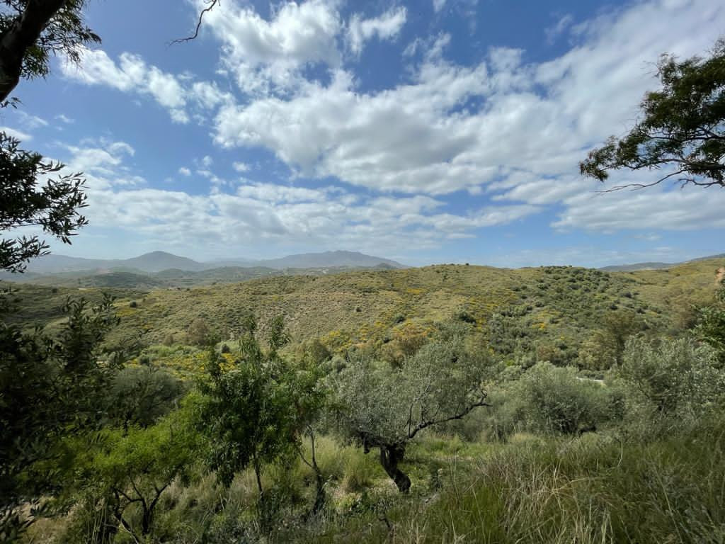 Terreno en venta en Mijas