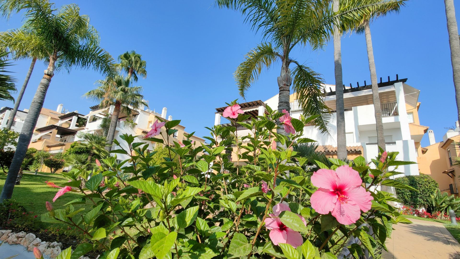 Rio Real, Marbella