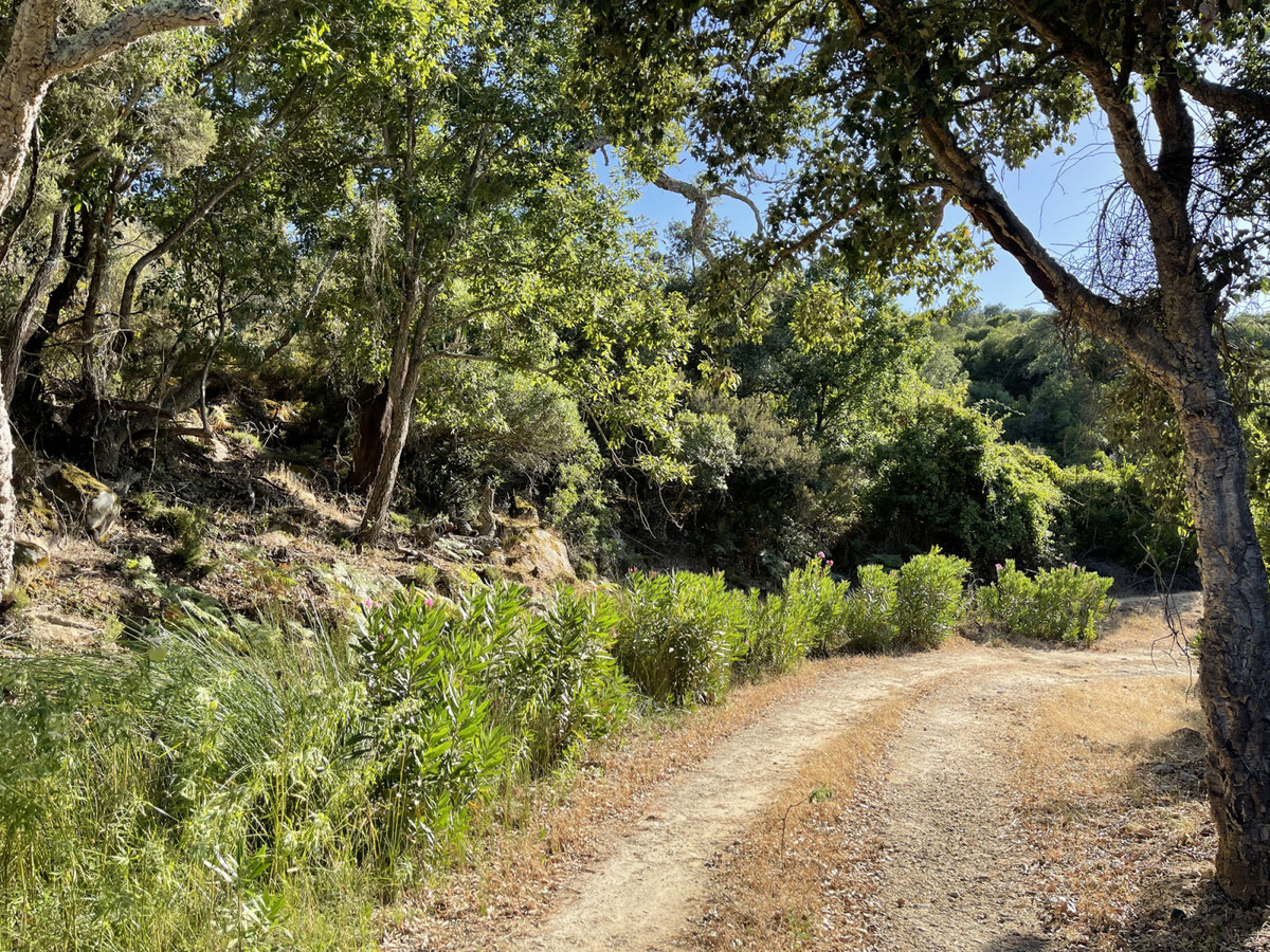 Finca de 2 Dormitorios y 2 Baños en venta en Castellar de la Frontera