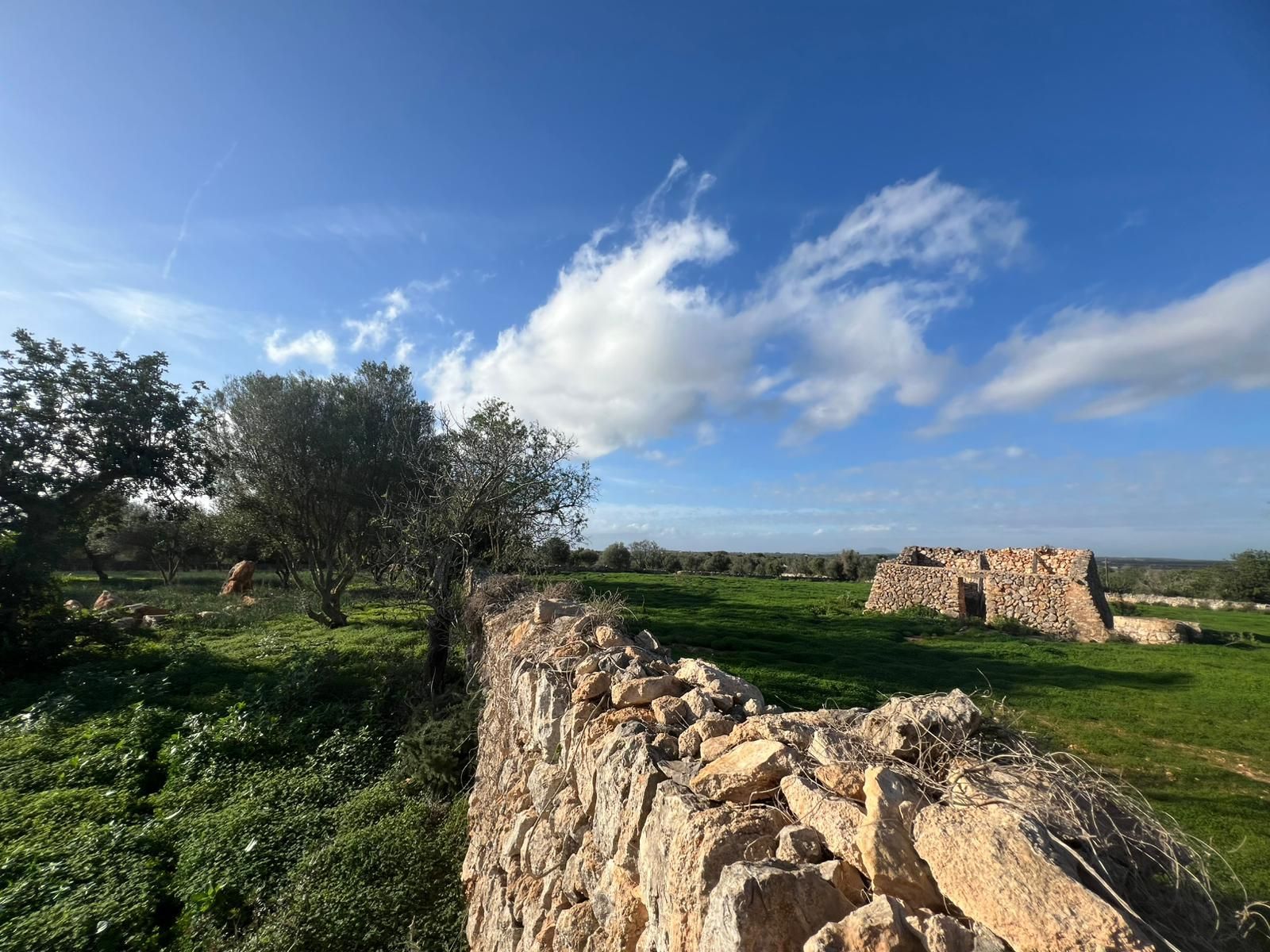 Plot for Sale in Santanyi