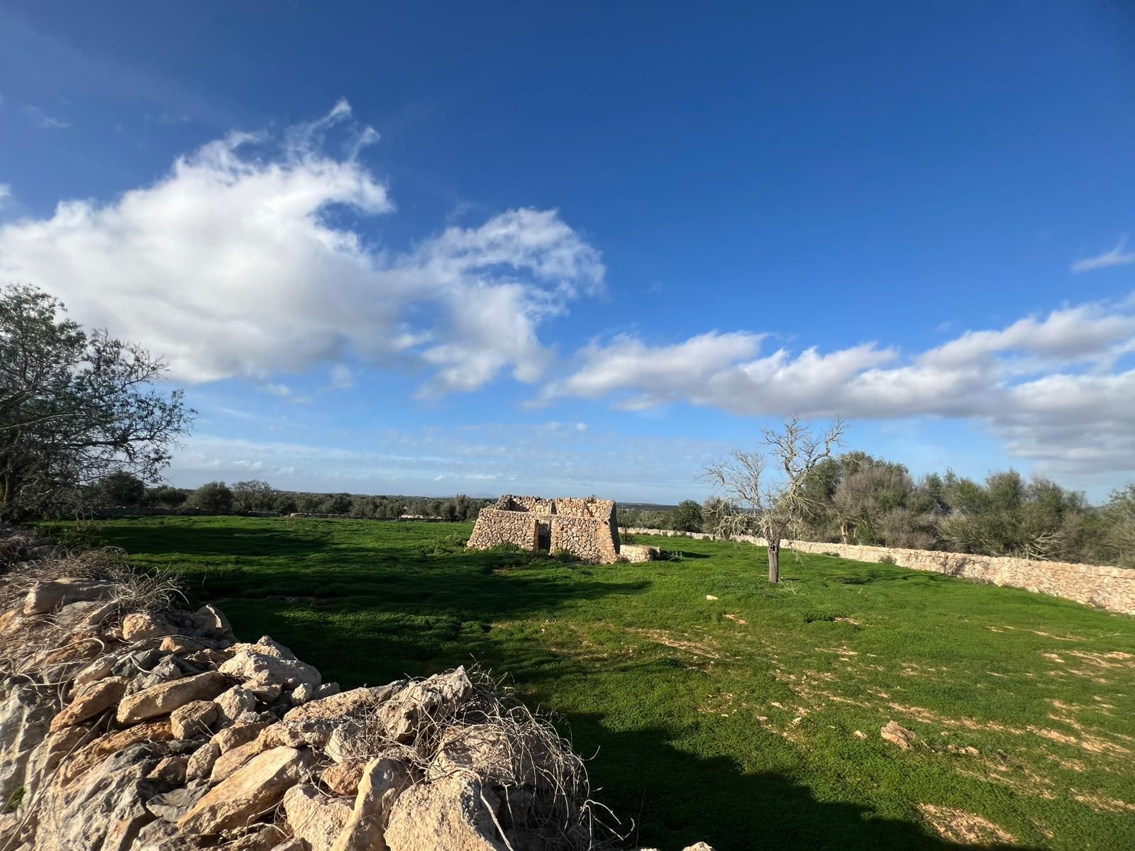 Plot for Sale in Santanyi