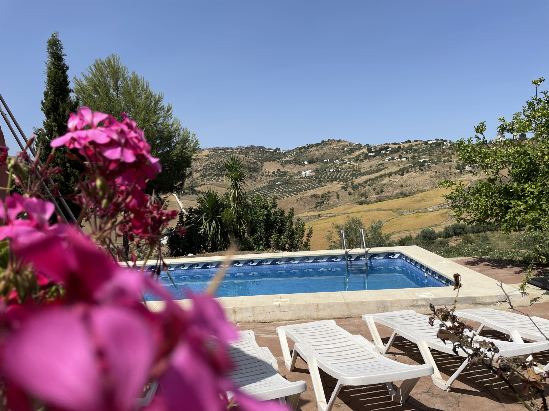 Finca de 14 Dormitorios y 6 Baños en venta en Villanueva de la Concepción