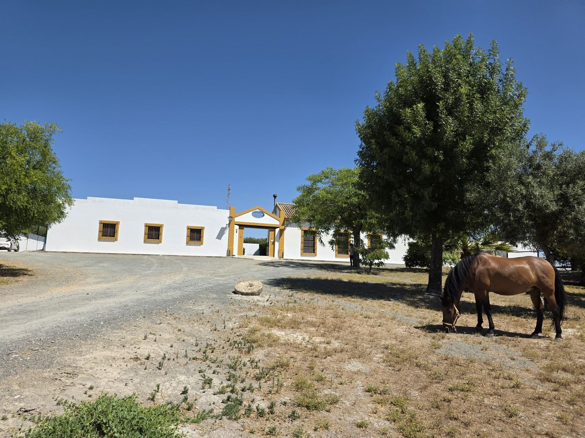 Casa de 4 Dormitorios en venta en Sevilla
