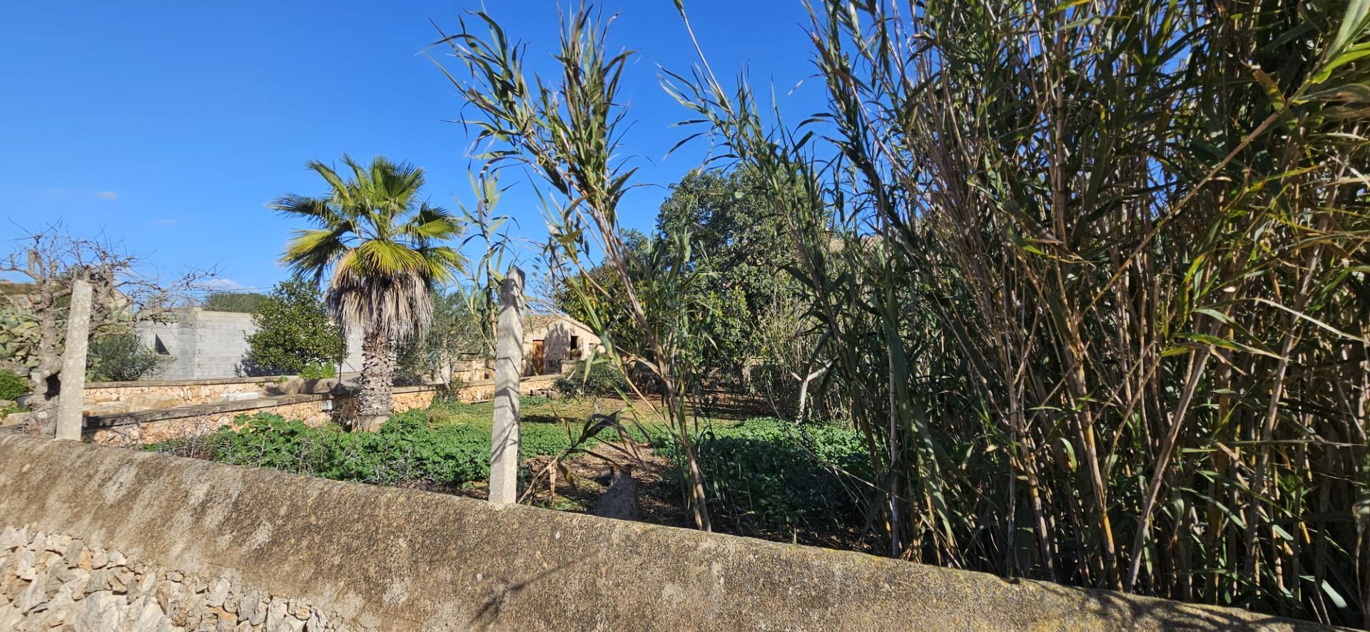 Terreno en venta en Santanyí