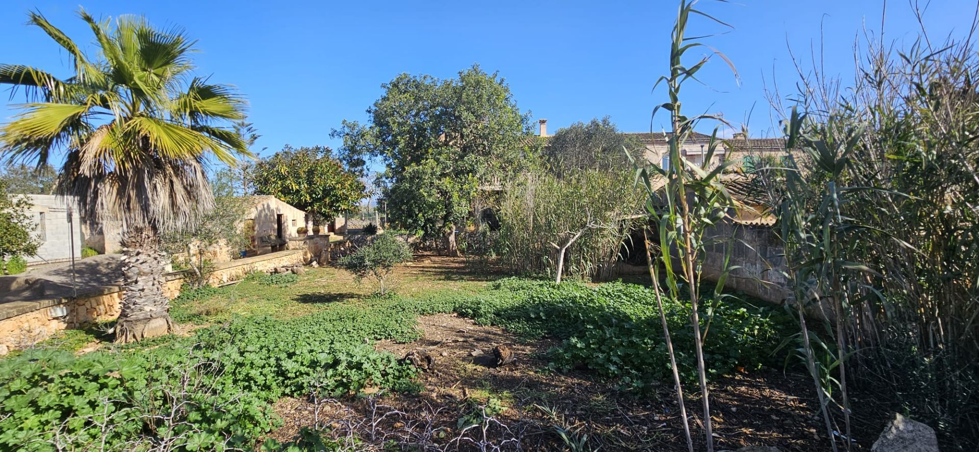 Terreno en venta en Santanyí