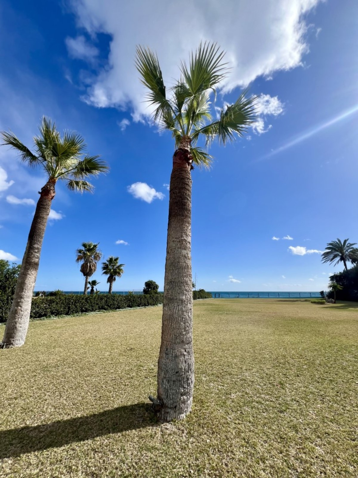 Casa de 5 Dormitorios y 5 Baños en alquiler vacacional en Guadalmina Baja, San Pedro de Alcántara